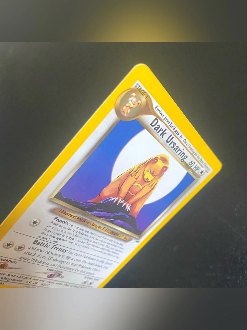 Pokemon Card Dark Ursaring 21/105